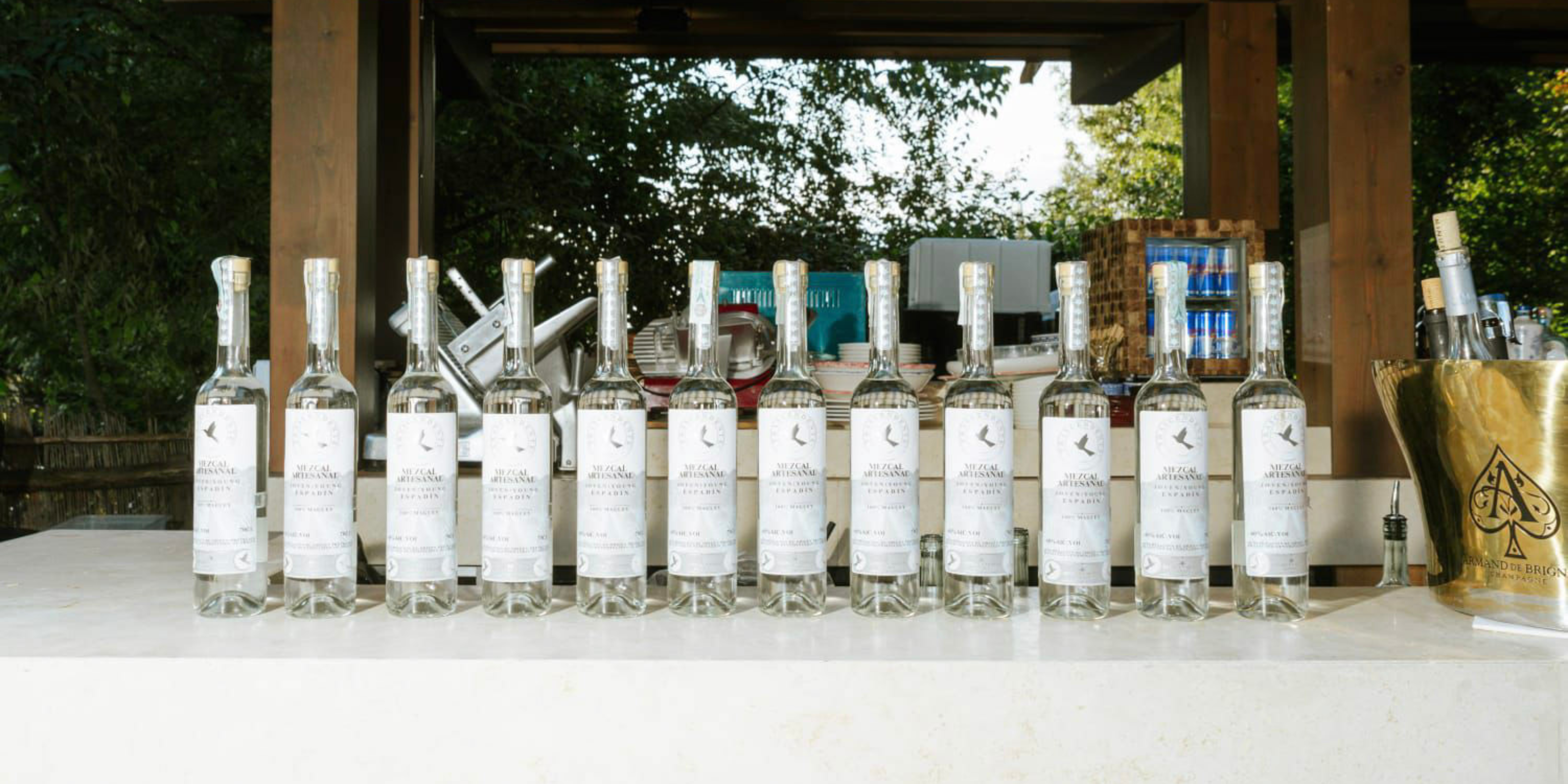 Lineup of Mezcal Artesanal bottles displayed on a bar counter with natural light and forest backdrop