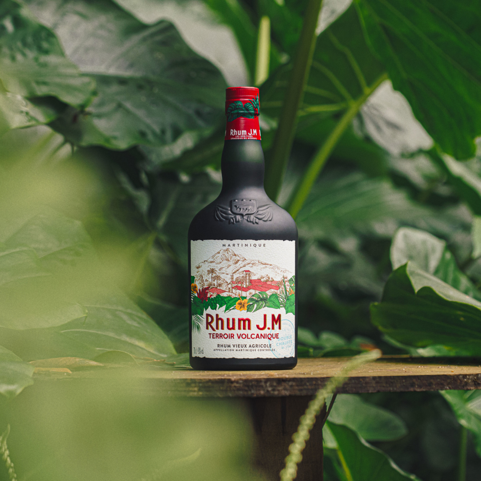 terroir volcanique bottle tropical scene