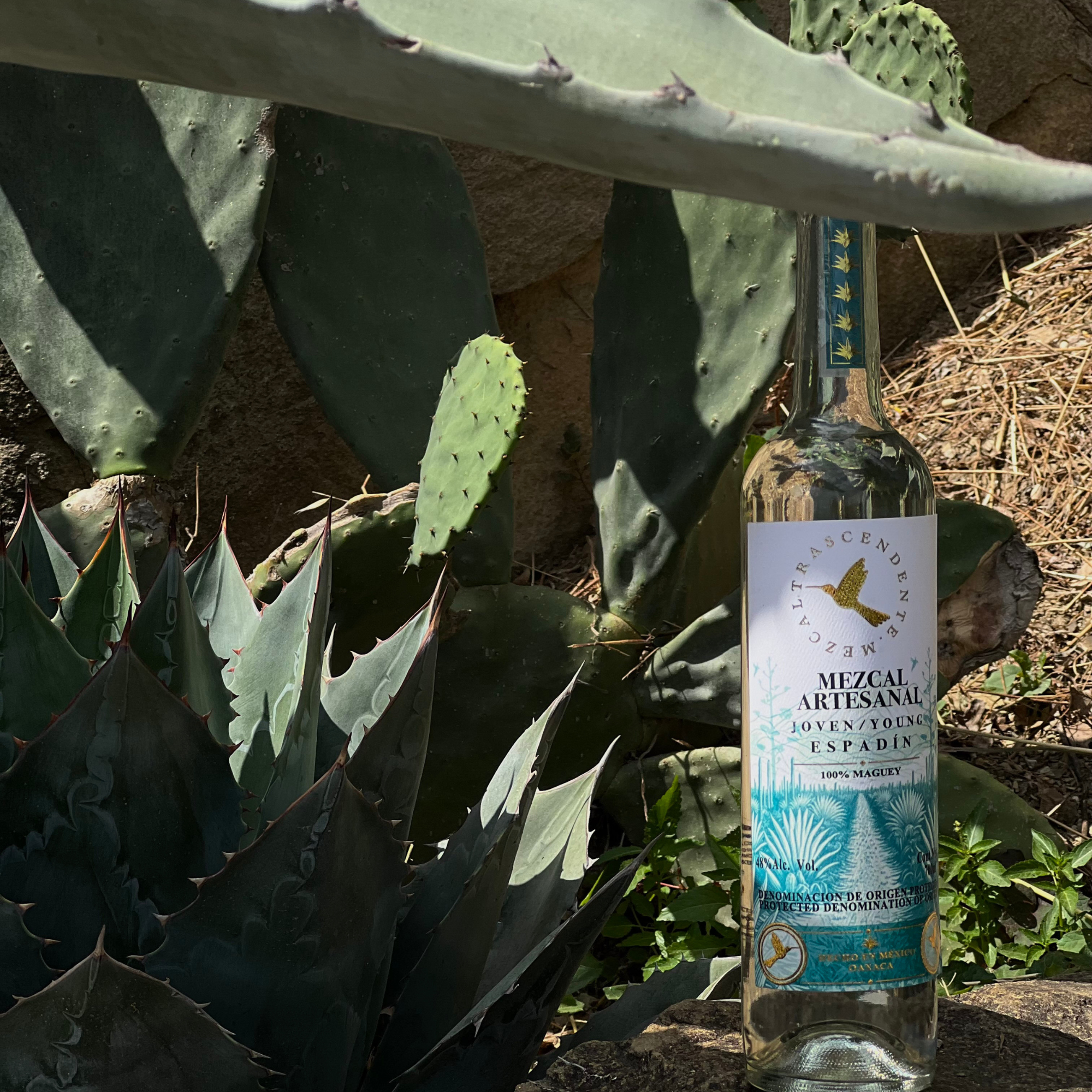 Bottle of Mezcal Artesanal Espadin surrounded by cacti